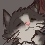 DenAndMoon